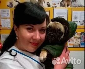 Скорая ветеринарная помощь. Ветеринарный врач