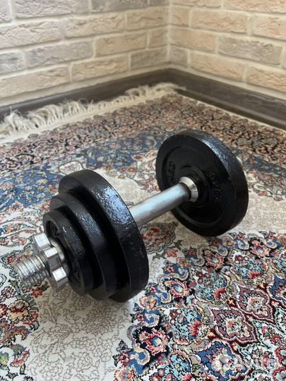 Гантеля разборная