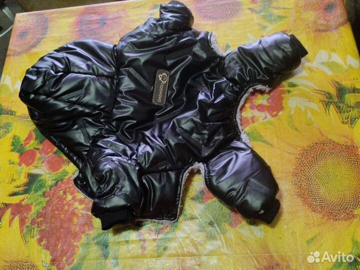 Одежда для маленьких собак