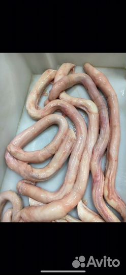 Бычий корень