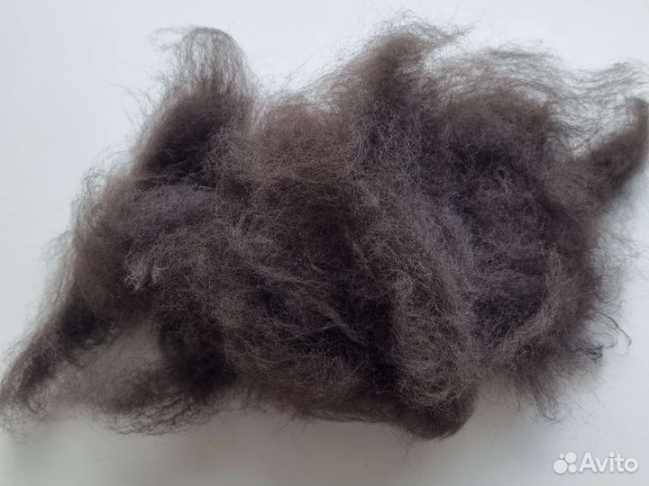 Шерсть тибетского мастифа (вычес)