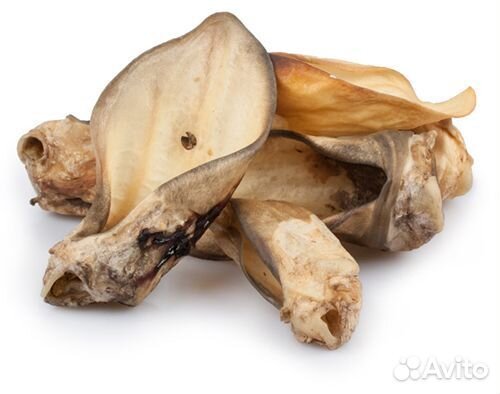 Дегидрированное лакомство для собак