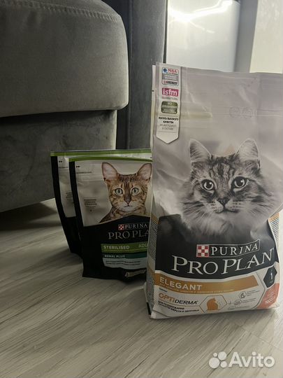 Корм для кошек pro plan