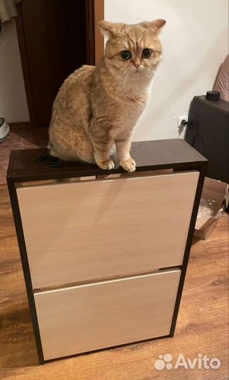 Обувница новая