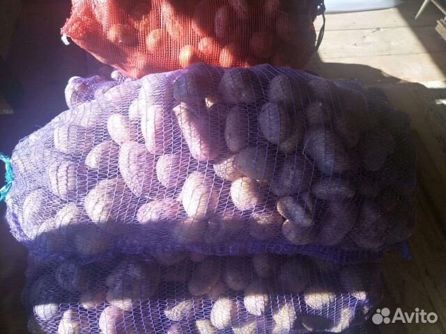 Продам деревенский картофель с доставкой