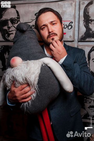 Ведущий на новогоднюю ночь