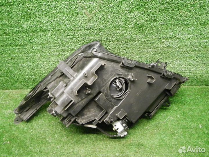 Фара правая Lexus NX200/NX200t/NX300/NX300h