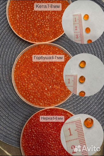 Красная икра опт и розница