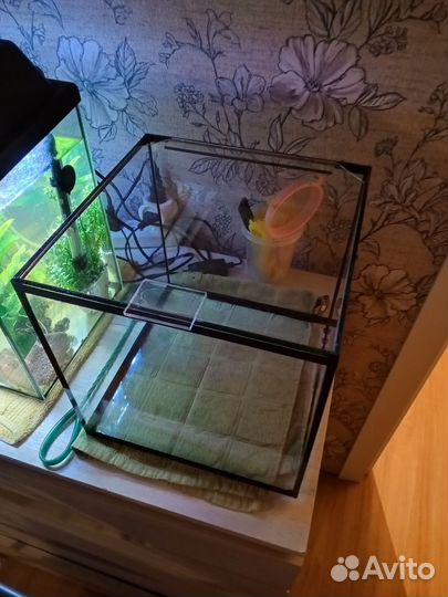 Аквариум