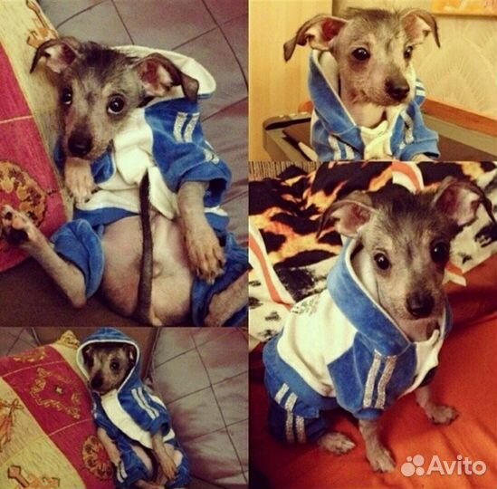 Вязка