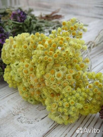 Ароматные и лекарственные травы для свечей и бани