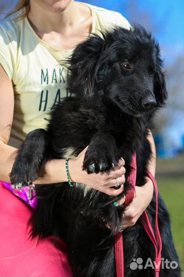 Молодой и уже узник приюта