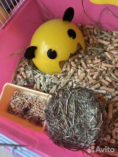 Клетка с Хомяком