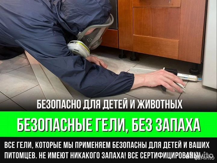 Дезинфекция тараканов. Уничтожение клопов. Травить