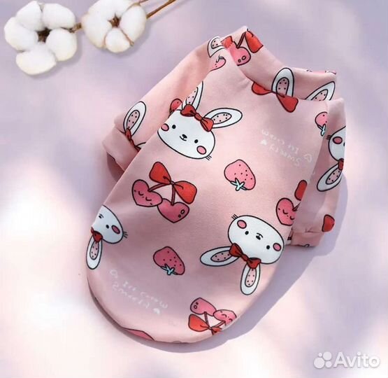 Новые толстовки, ошейники для кошек, и собак