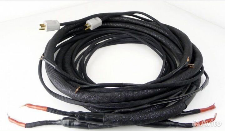Clarity cable ultra Focus