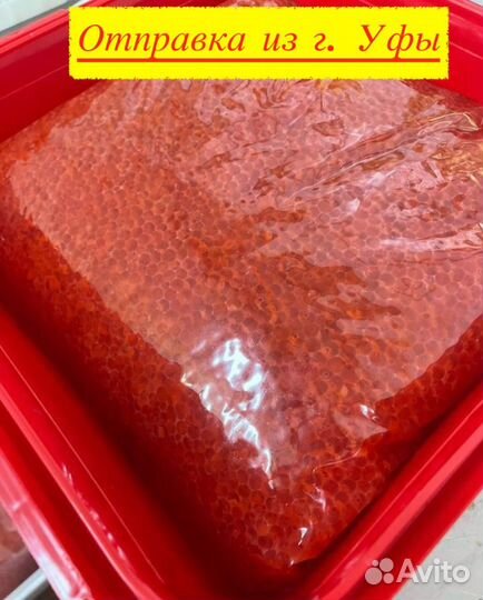 Красная икра