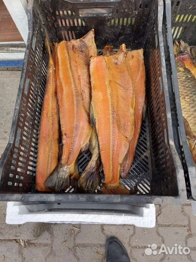Кета копченая