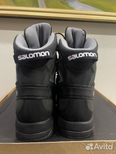 Ботинки Salomon X ALP MTN GTX