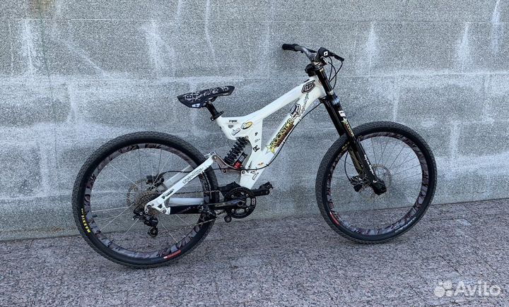 Specialized Big Hit custom MTB Freeride DH