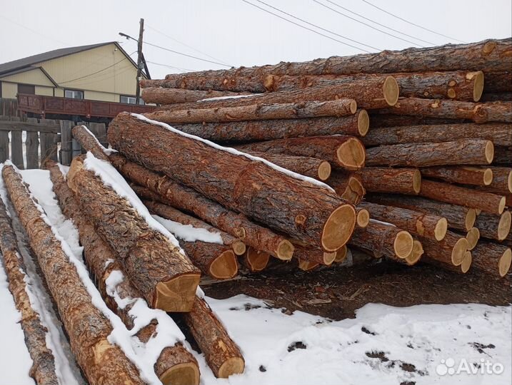 Лиственница