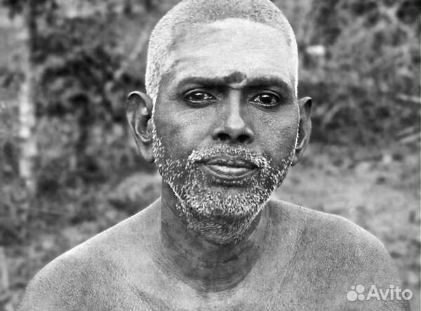 Сатсанг (проводник в Дзен)