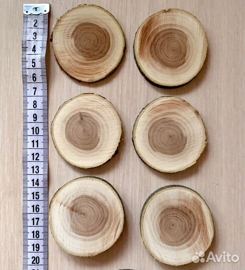 Набор из 20 спилов, диаметр спилов 6 - 8 см