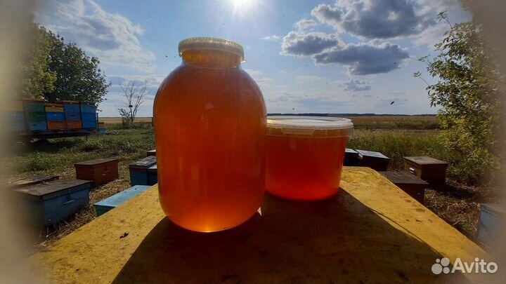 Мёд чёрная горчица,гречка и донник