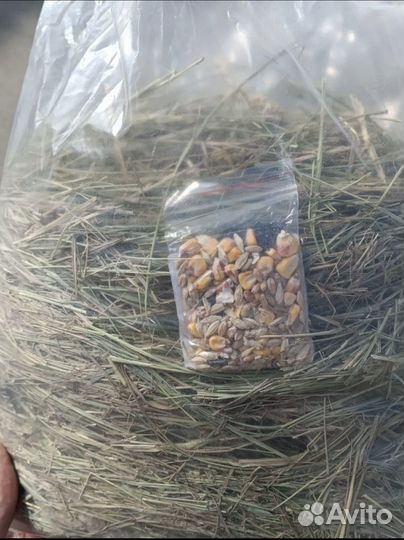 Сено луговое для грызунов