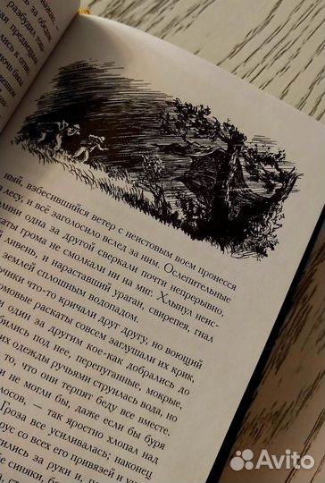 Марк Твен 'Том Сойер'