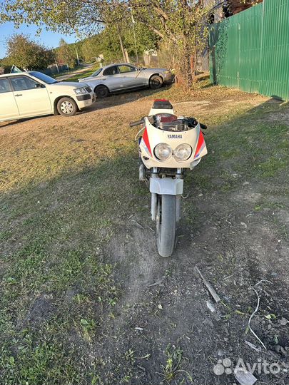 Спортак 250