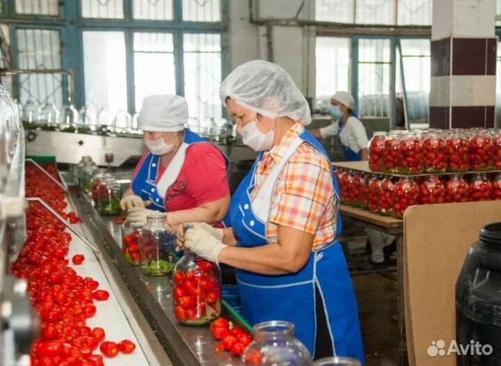 Укладчицы/упаковщицы