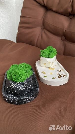 Декор поднос кашпо со мхом