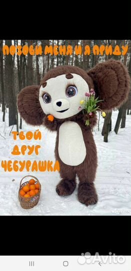 Аниматоры,Панда,Белый Мишка/ушастик