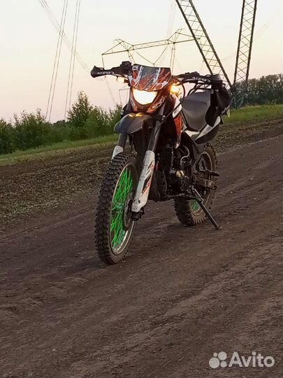 Рейсер пантера 300