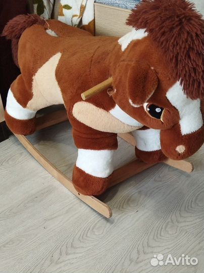 Отдам бесплатно