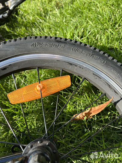 Shulz bubble 16 race