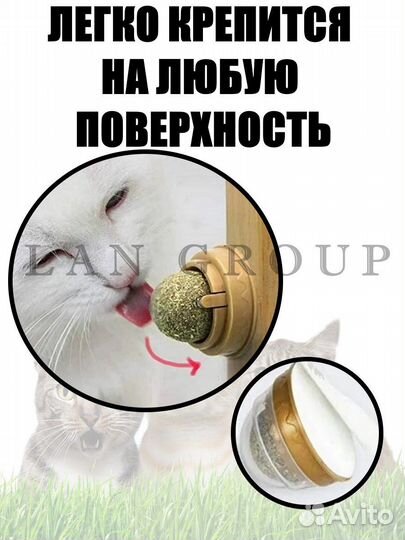 Кошачья мята