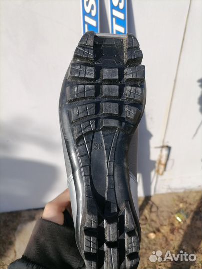 Беговые лыжи