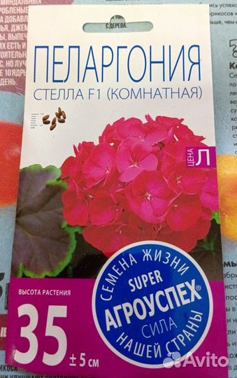 Семена Пеларгонии