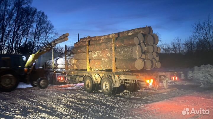 Лес кругляк