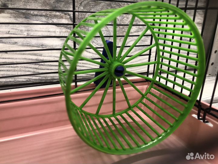 Новая клетка для хомяка джунгарика, мышки