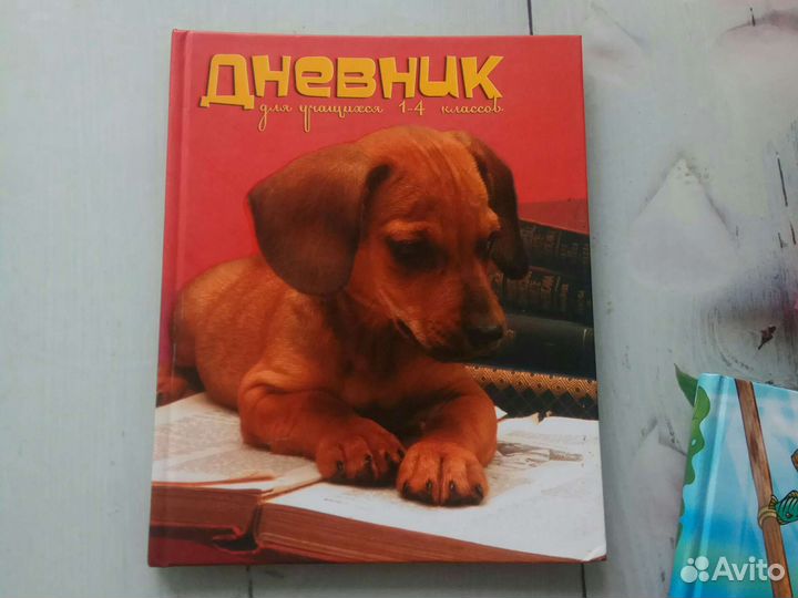 Дневник школьный начальная школа 1-4 класс