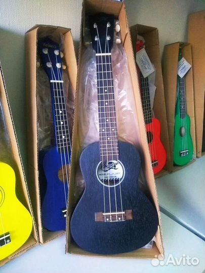 Укулеле концерт