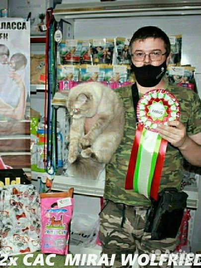 Невская маскарадная