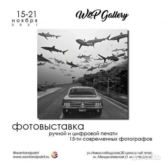 Фотография