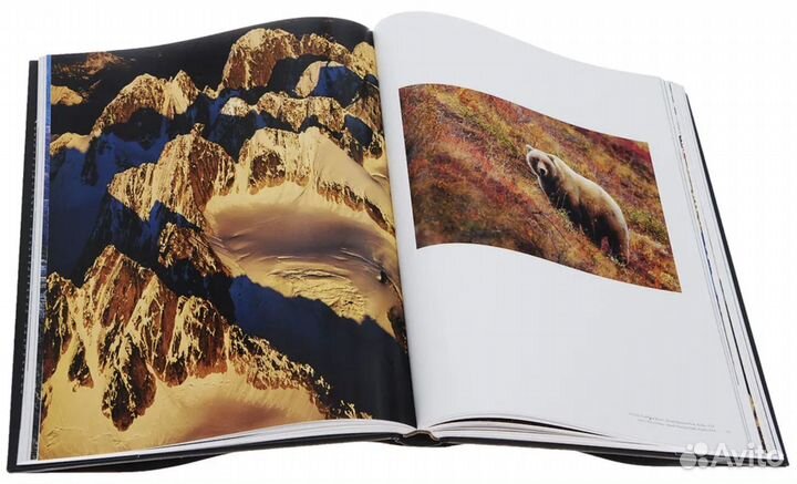 Книга Art Wolfe 