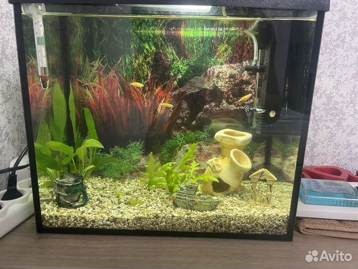 Аквариум 20 литров