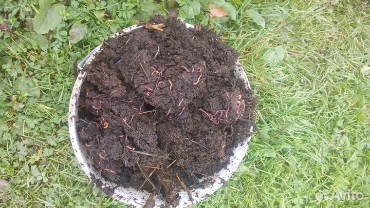 Навоз и перегной в мешках