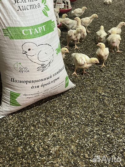 Комбикорм для бройлеров старт 40 кг